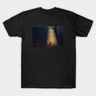 Cat in the light T-Shirt